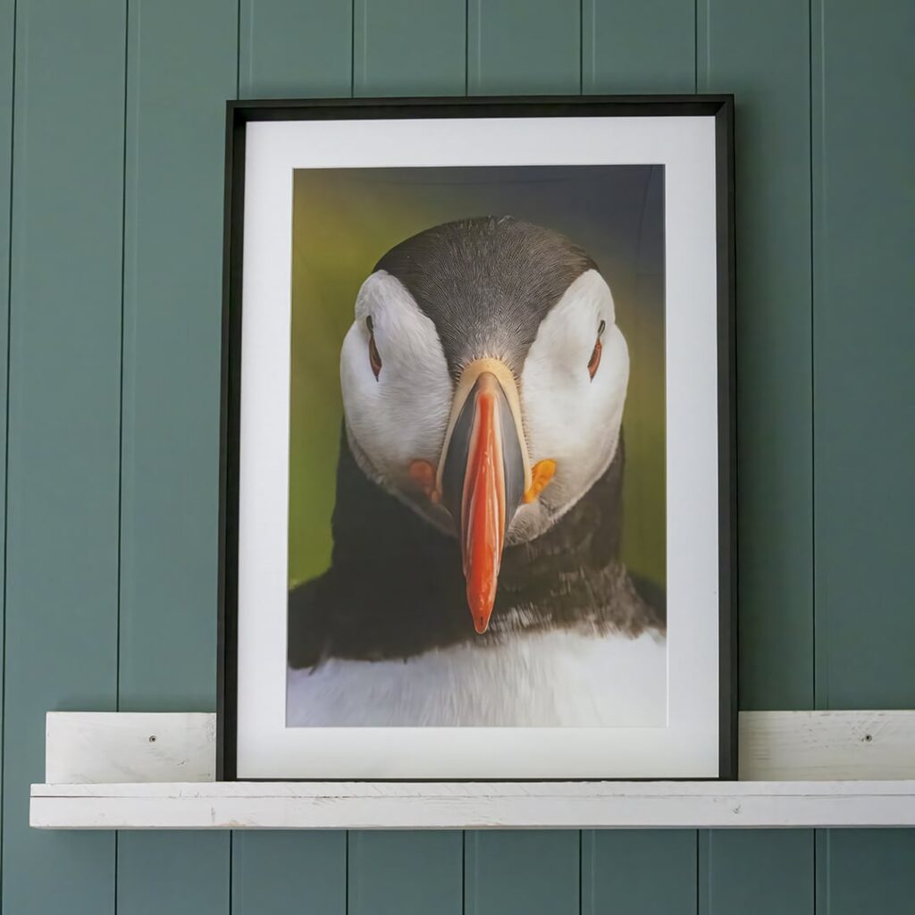 Forstørrelse bildeprint