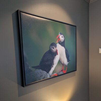 Lerretsbilde med sveveramme