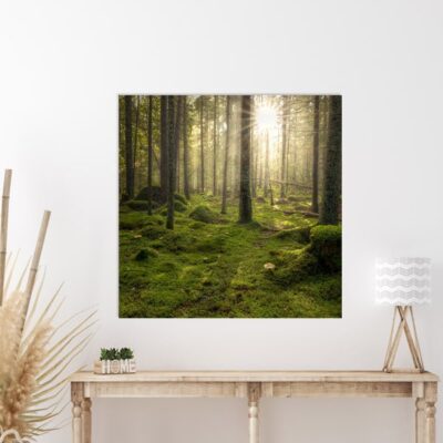 50x50 cm print på fotopapir