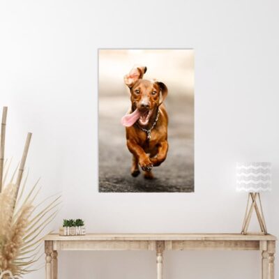 40x60 cm print på fotopapir