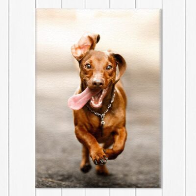 Lerretsbilde 70x100 cm