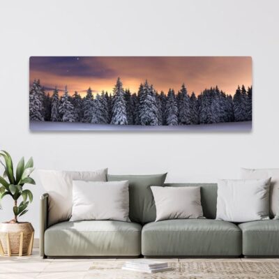 50x150cm bilde på aluminium