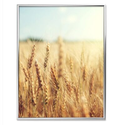 Nfoto bilderamme i sølv 50x70 cm