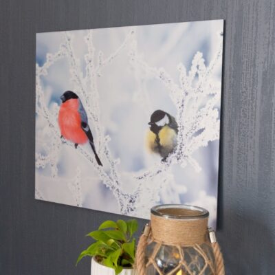 40x50 cm bilde på aluminium